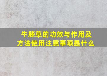 牛膝草的功效与作用及方法使用注意事项是什么