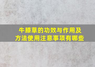 牛膝草的功效与作用及方法使用注意事项有哪些