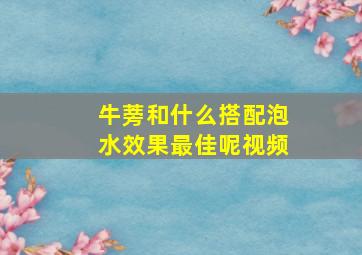 牛蒡和什么搭配泡水效果最佳呢视频