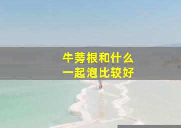 牛蒡根和什么一起泡比较好