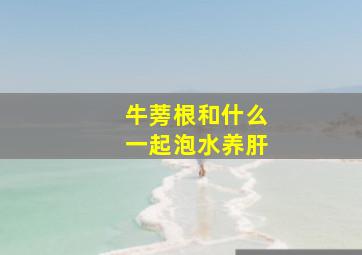 牛蒡根和什么一起泡水养肝