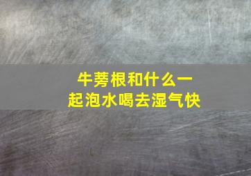 牛蒡根和什么一起泡水喝去湿气快