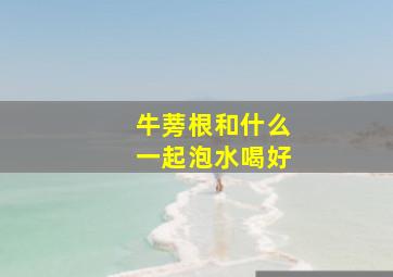 牛蒡根和什么一起泡水喝好