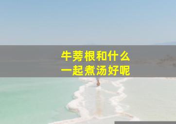 牛蒡根和什么一起煮汤好呢