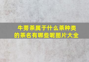 牛蒡茶属于什么茶种类的茶名有哪些呢图片大全