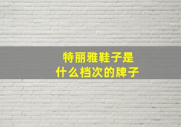 特丽雅鞋子是什么档次的牌子