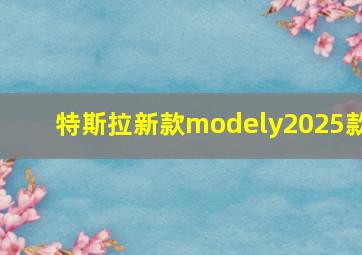 特斯拉新款modely2025款