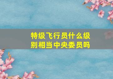 特级飞行员什么级别相当中央委员吗