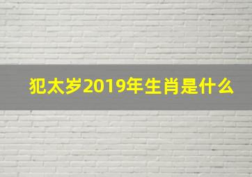 犯太岁2019年生肖是什么