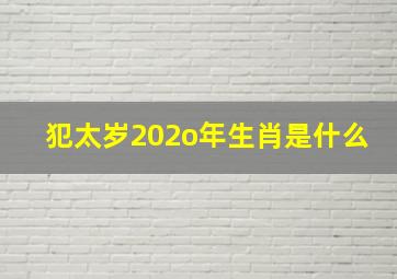 犯太岁202o年生肖是什么