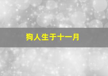 狗人生于十一月