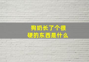 狗奶长了个很硬的东西是什么