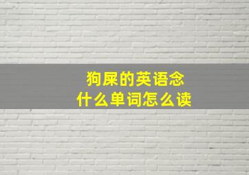 狗屎的英语念什么单词怎么读