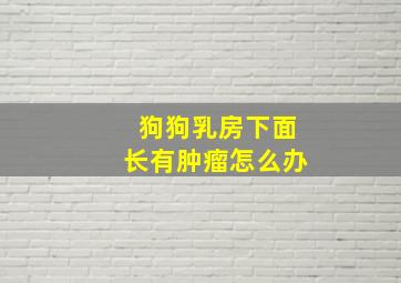 狗狗乳房下面长有肿瘤怎么办