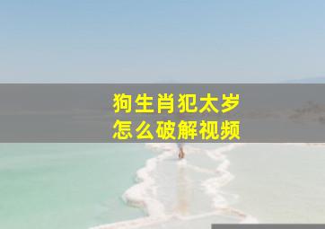 狗生肖犯太岁怎么破解视频