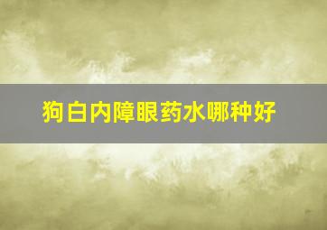 狗白内障眼药水哪种好