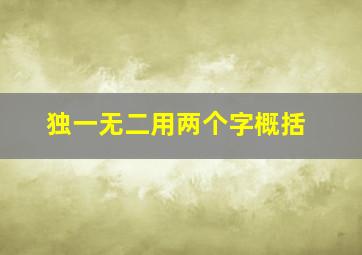 独一无二用两个字概括