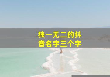 独一无二的抖音名字三个字