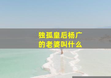 独孤皇后杨广的老婆叫什么