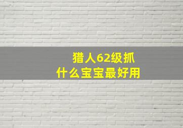 猎人62级抓什么宝宝最好用