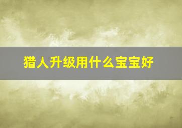 猎人升级用什么宝宝好