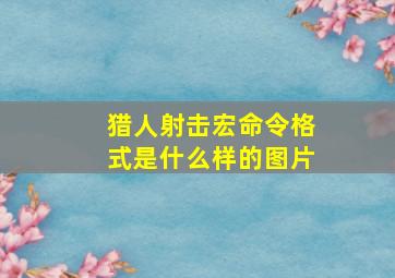 猎人射击宏命令格式是什么样的图片