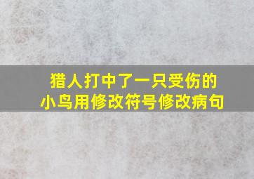 猎人打中了一只受伤的小鸟用修改符号修改病句