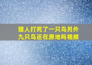 猎人打死了一只鸟另外九只鸟还在原地吗视频