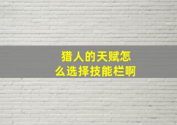 猎人的天赋怎么选择技能栏啊