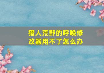 猎人荒野的呼唤修改器用不了怎么办