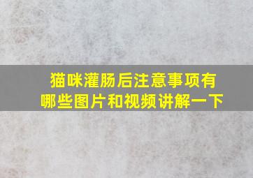 猫咪灌肠后注意事项有哪些图片和视频讲解一下