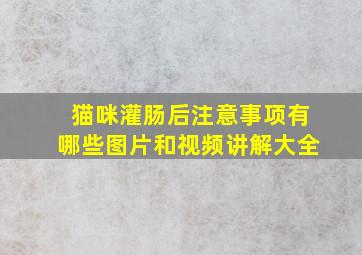 猫咪灌肠后注意事项有哪些图片和视频讲解大全