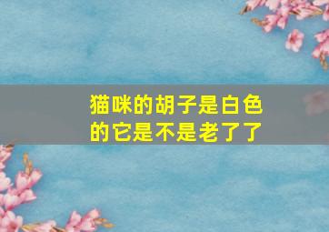 猫咪的胡子是白色的它是不是老了了