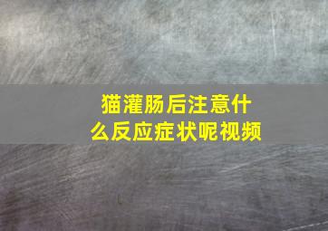 猫灌肠后注意什么反应症状呢视频