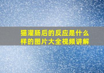 猫灌肠后的反应是什么样的图片大全视频讲解