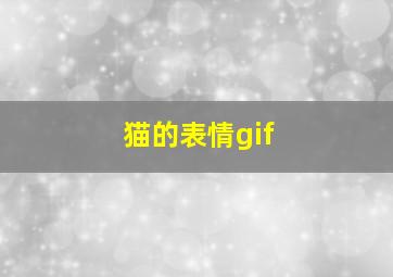 猫的表情gif