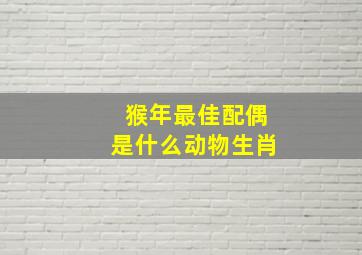 猴年最佳配偶是什么动物生肖