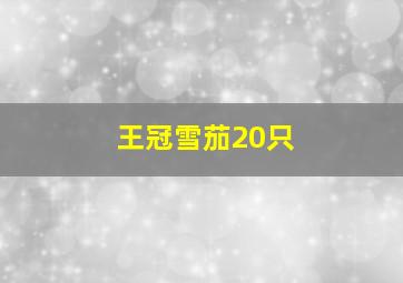 王冠雪茄20只