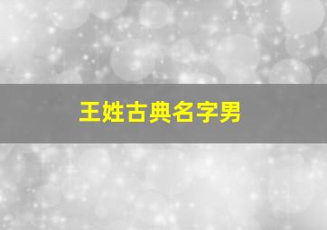 王姓古典名字男