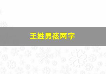 王姓男孩两字