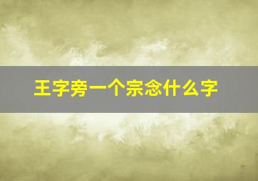 王字旁一个宗念什么字