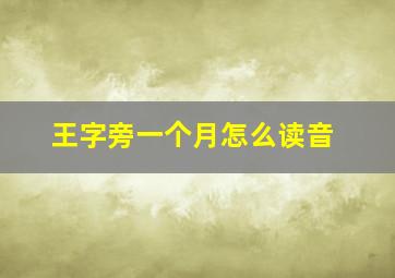 王字旁一个月怎么读音