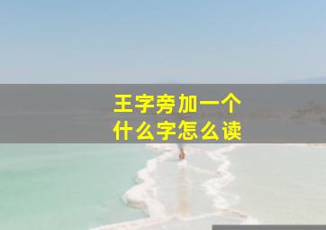 王字旁加一个什么字怎么读