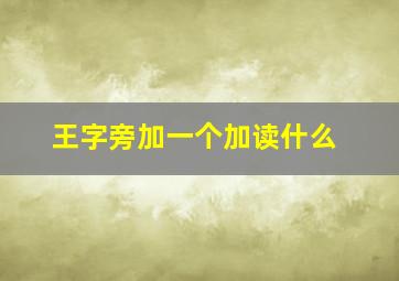 王字旁加一个加读什么