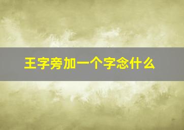 王字旁加一个字念什么