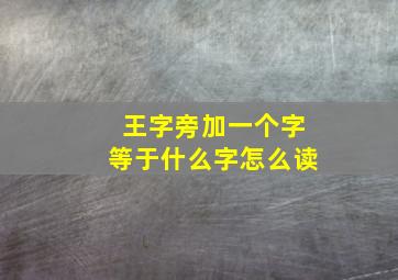 王字旁加一个字等于什么字怎么读