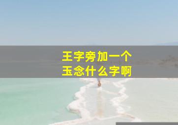 王字旁加一个玉念什么字啊