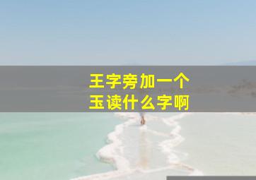 王字旁加一个玉读什么字啊