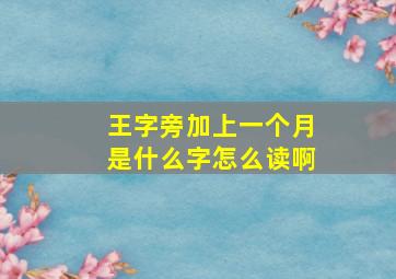 王字旁加上一个月是什么字怎么读啊