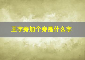 王字旁加个旁是什么字